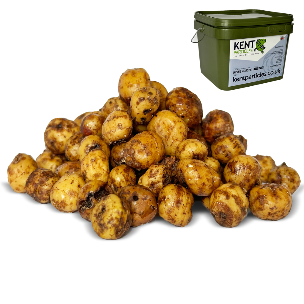 Prepared Sweet Tiger Nuts, Carp Particles