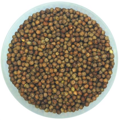 Kent Particles Maple Peas: click to enlarge