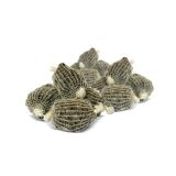 CC Moore Ready Filled PVA Bags SMALL