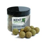 Kent Particles Wafters
