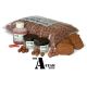 Kent Particles Kent Particles A-Team Spicy Liver 5kg Boilie Deal
