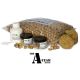 Kent Particles Kent Particles A-Team TNut 5kg Boilie Deal
