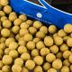 Urban Bait Urban Bait Frozen Boilies